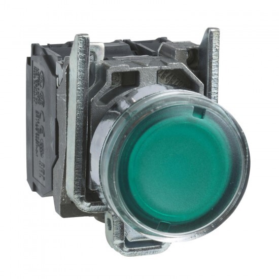 Illuminated button / 230 V - Green  Schneider Electric